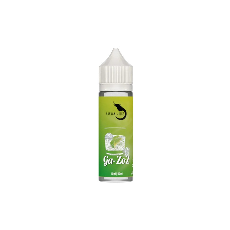 Hayvan Juice Gazoz Aroma 10ml in 60ml Flasche